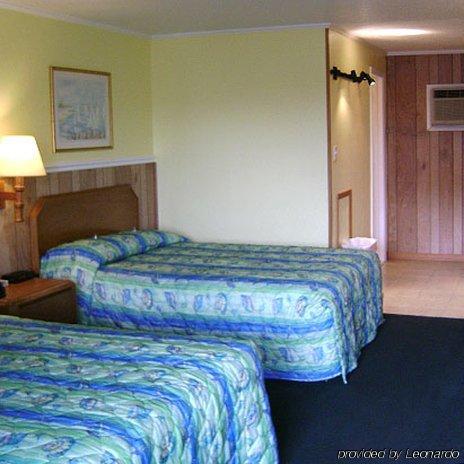 Sea Hawk Oceanfront Motel 默特尔比奇 客房 照片