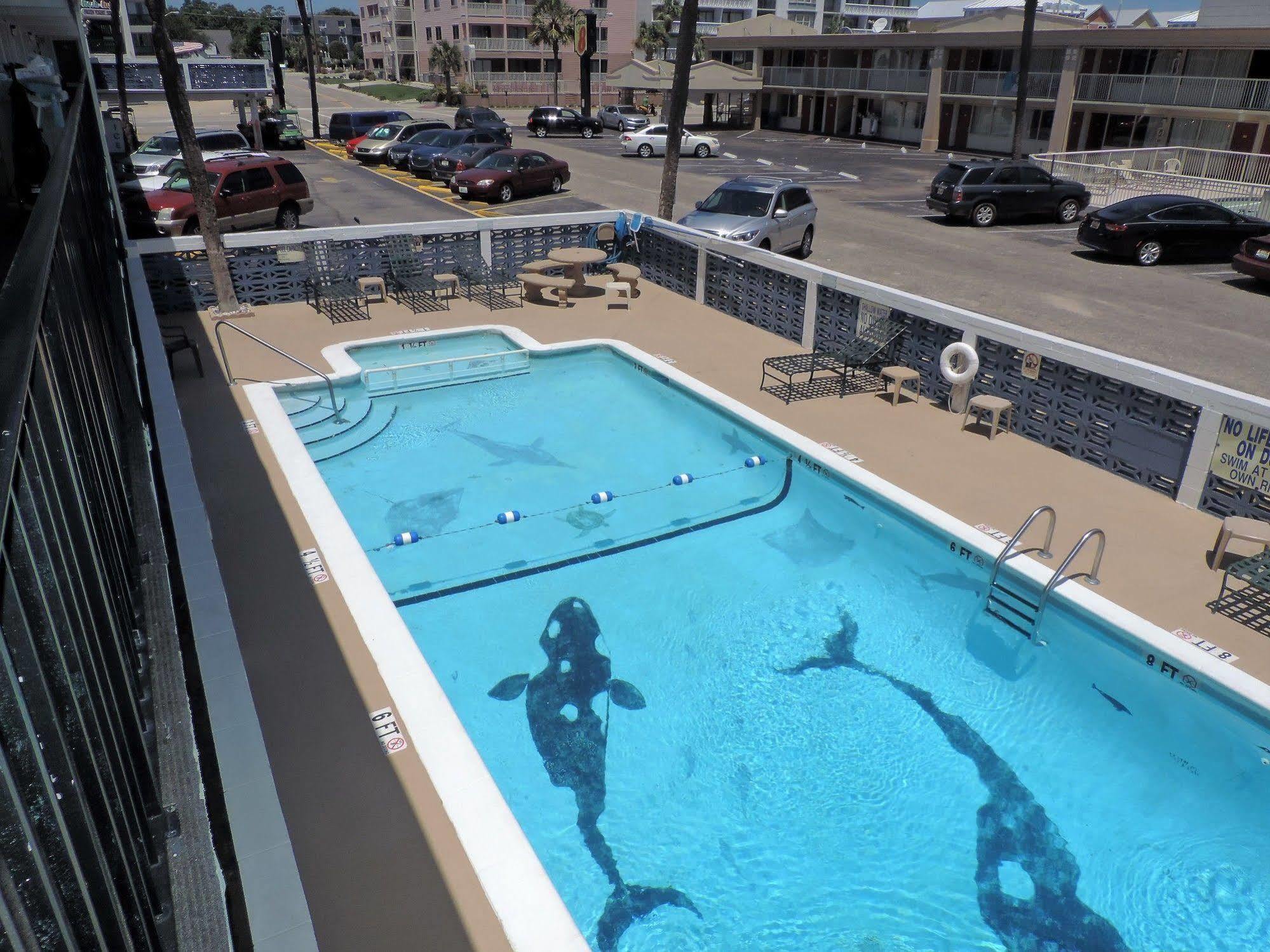 Sea Hawk Oceanfront Motel 默特尔比奇 外观 照片
