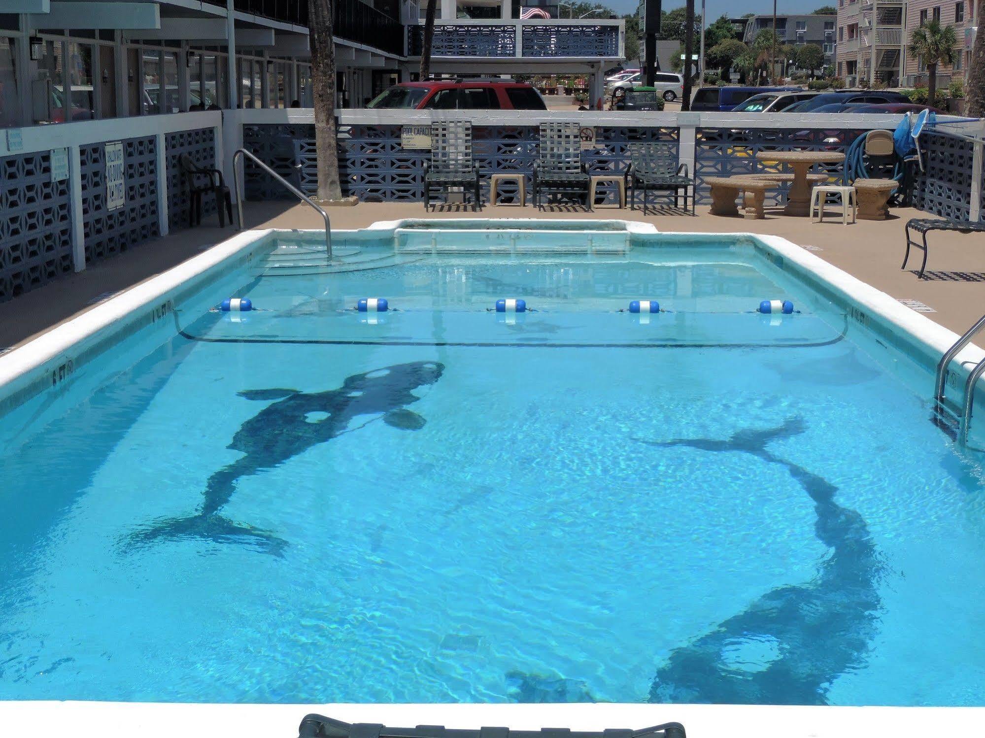 Sea Hawk Oceanfront Motel 默特尔比奇 外观 照片